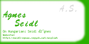 agnes seidl business card